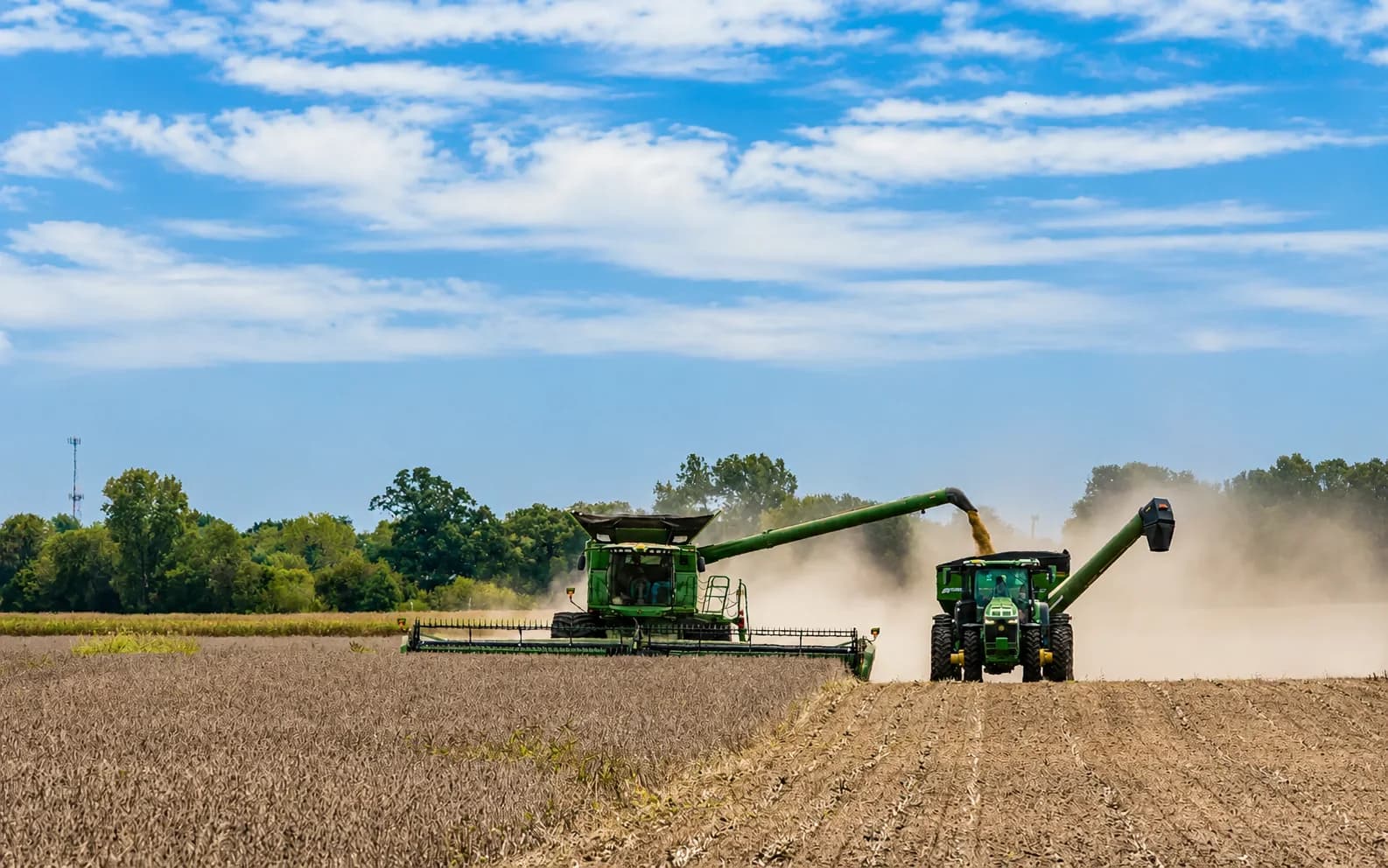 A combine harvester in a soybean field at harvest, large-scale plant protein source.