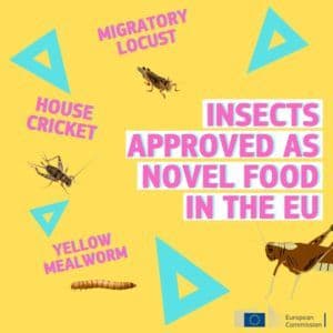 Approval of fourth insect as a Novel Food by the EU