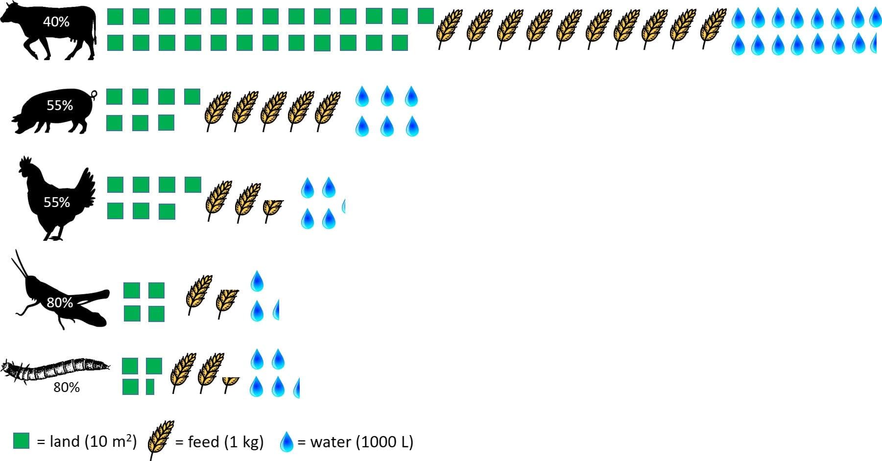Why are insects considered sustainable? A Protein production inputs resource justification
