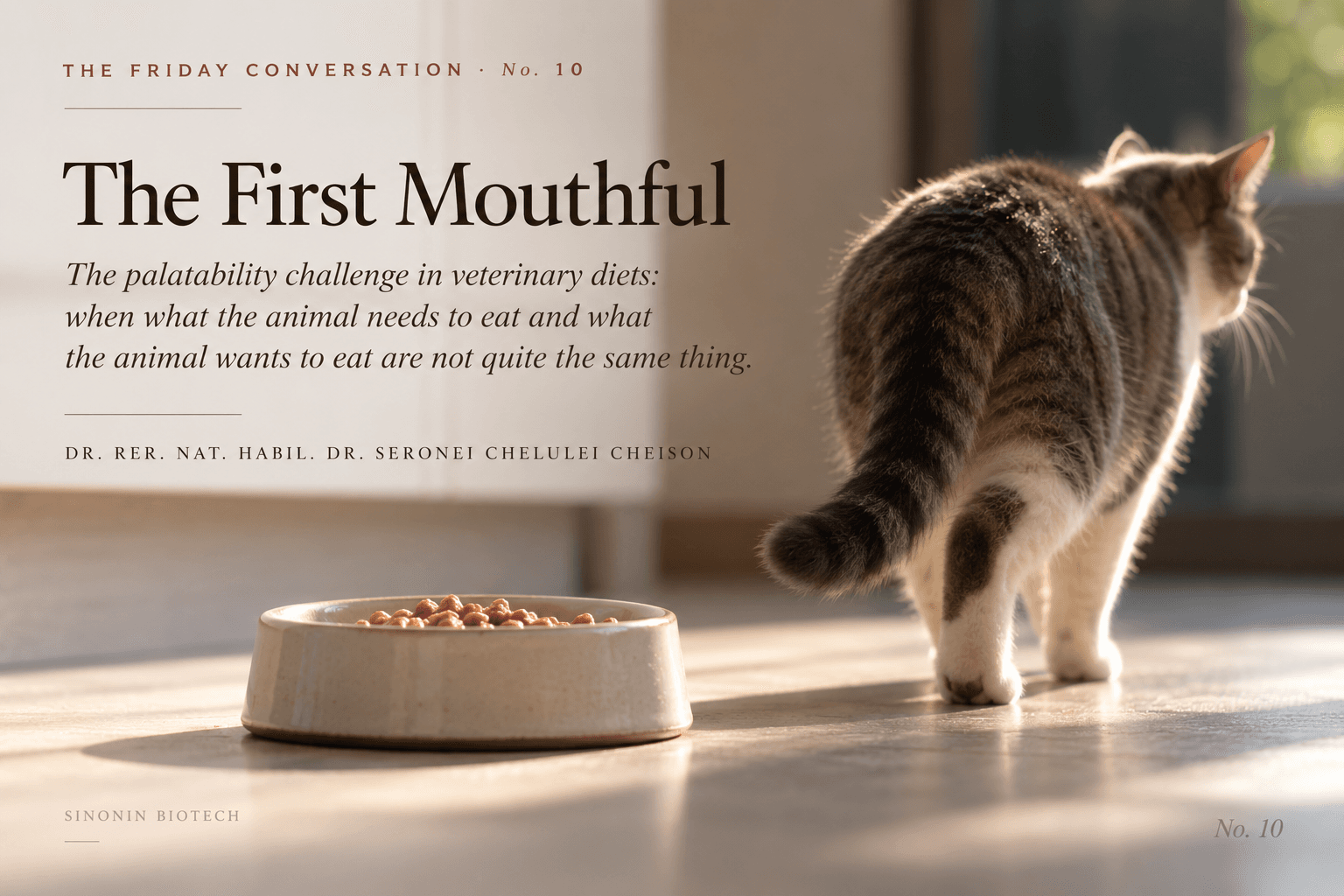 The First Mouthful, The Friday Conversation No. 10. A nutritionally complete veterinary diet in a bowl and a cat walking away, the challenge of feeding the animal that needs the food but may not want it.