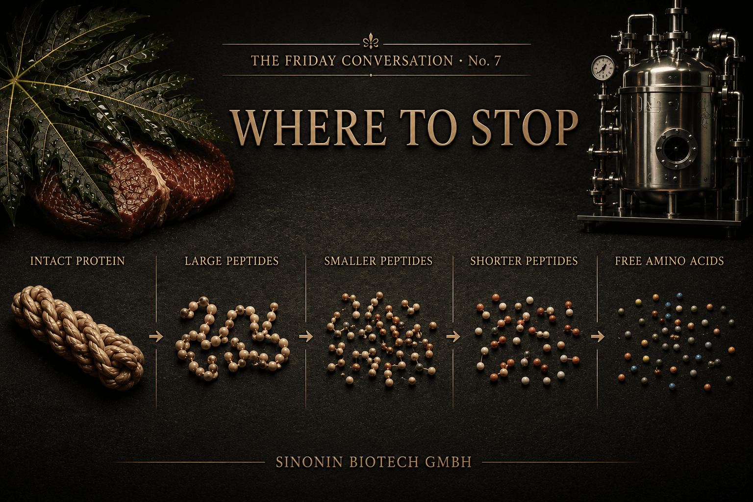 Where to Stop, The Friday Conversation No. 7. From papaya leaf to reactor, the protein hydrolysis continuum from intact protein to free amino acids.